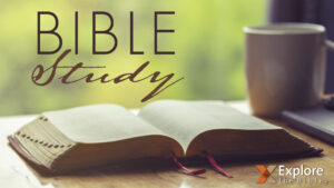 Daily Bible Study
